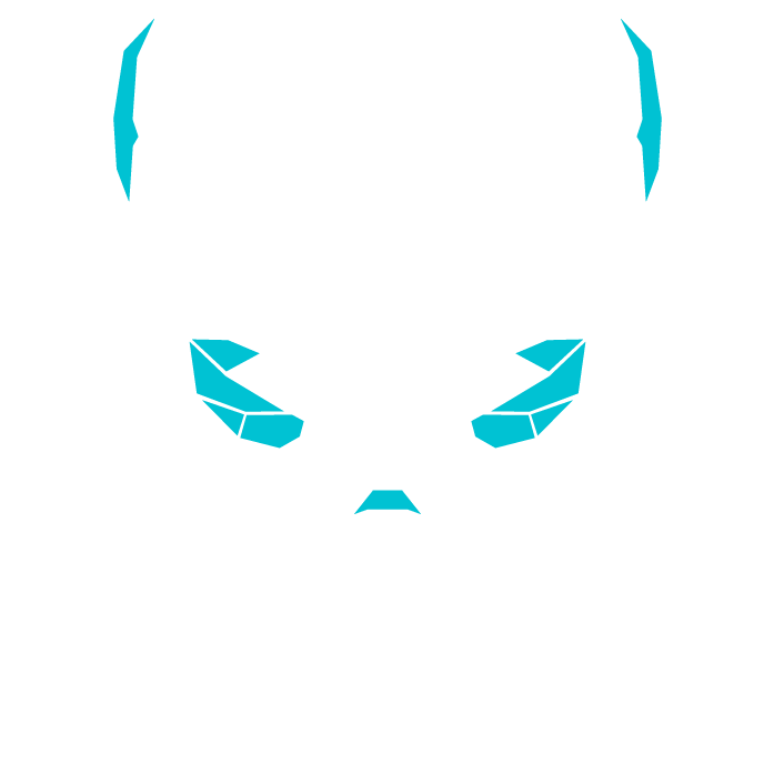 Rehbein Studios – Shop